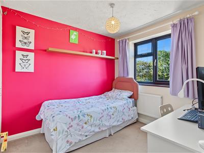 Picture 21
